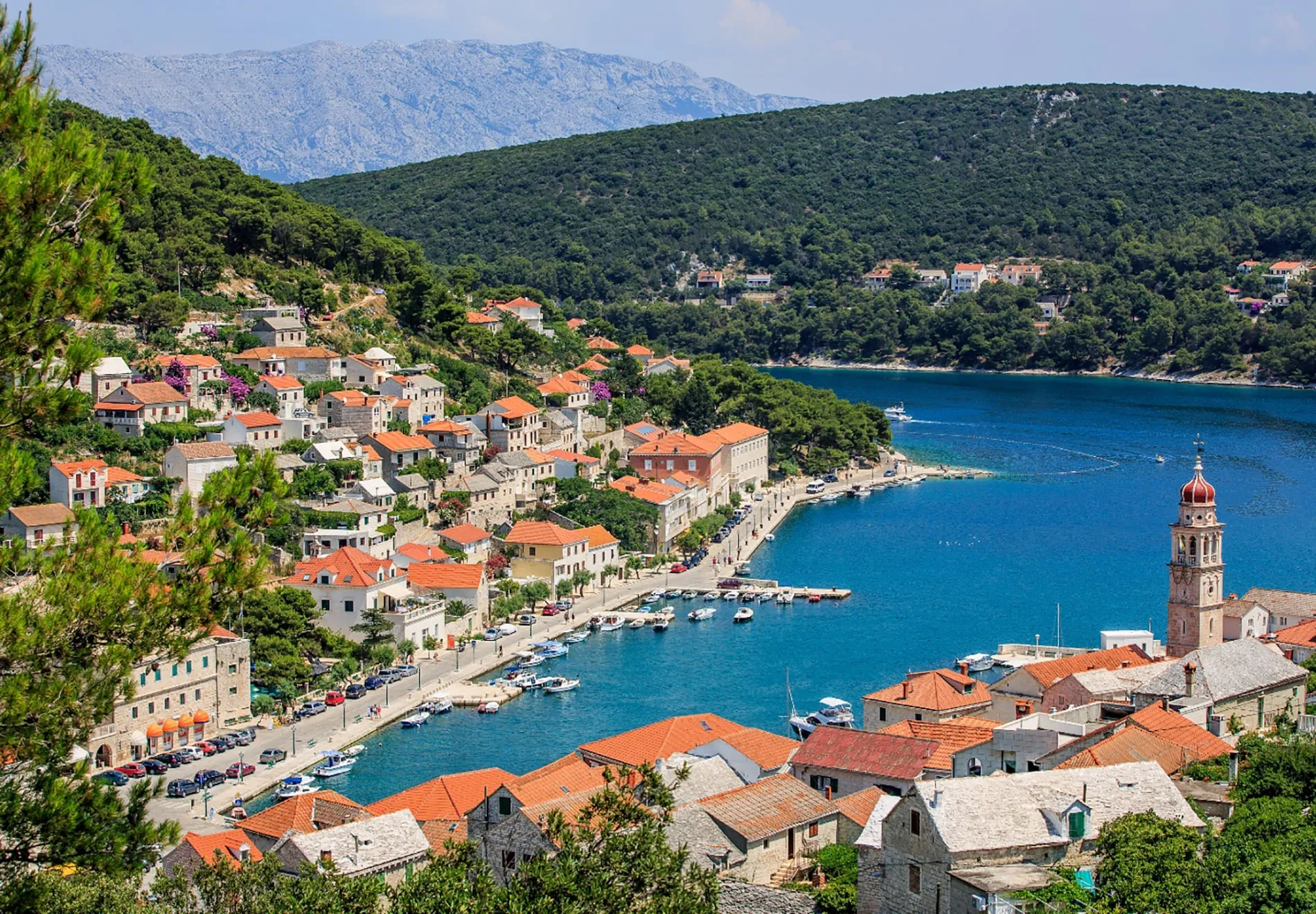 Zaljev i borova šuma iznad Pučišćanskog zaljeva